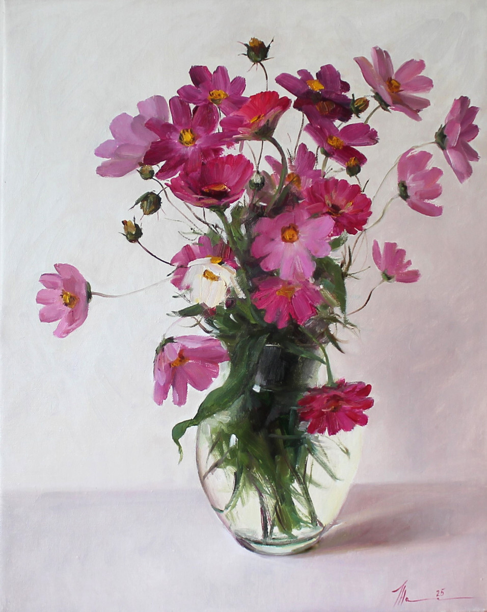 Космеи и цинии