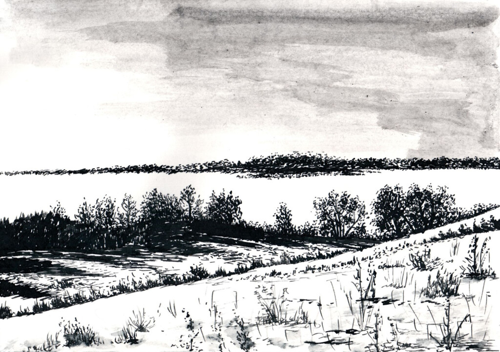 Среди зимы 29