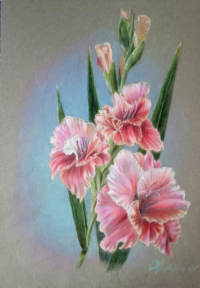 Розовпя вуаль