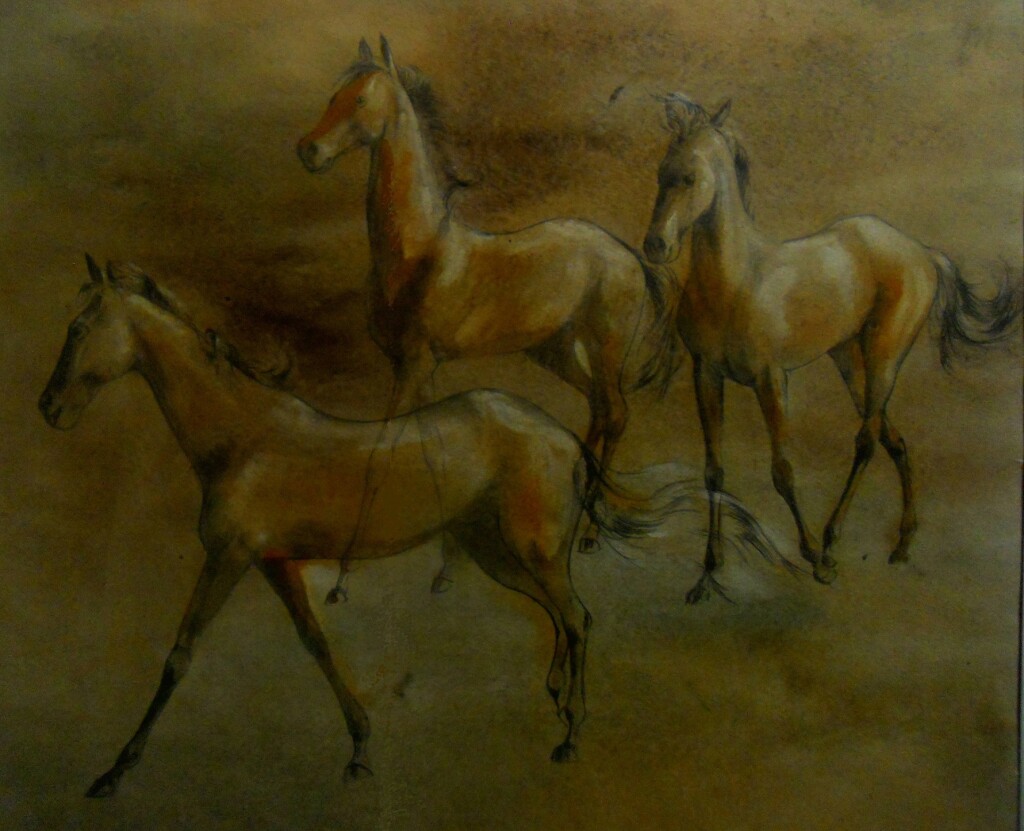 Походка Ахалтекинца