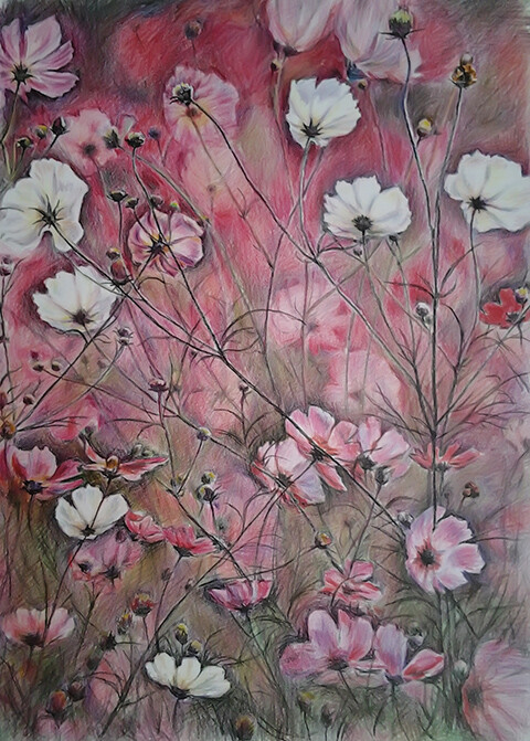 розовый фон