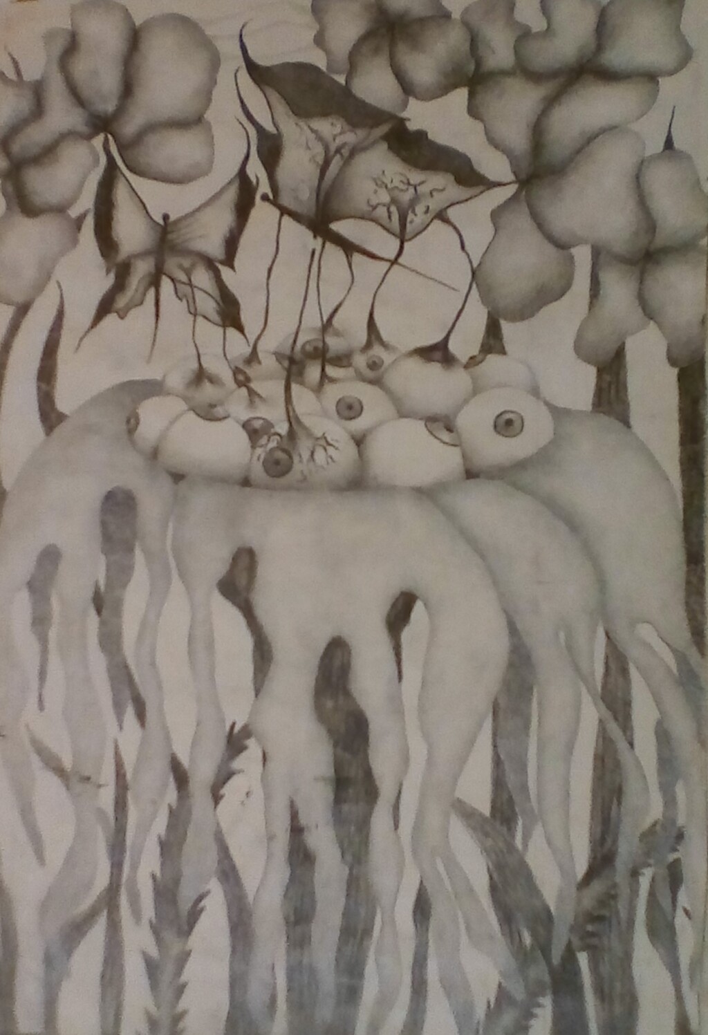 Цветы и бабочки