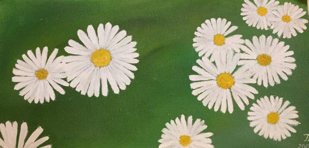 лето,ромашки