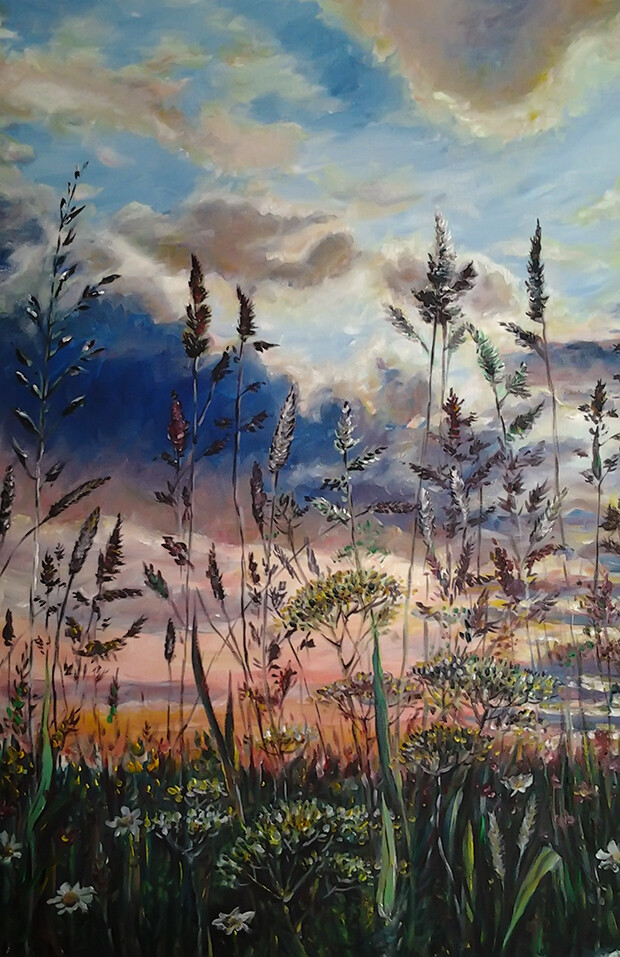 вечерний луг