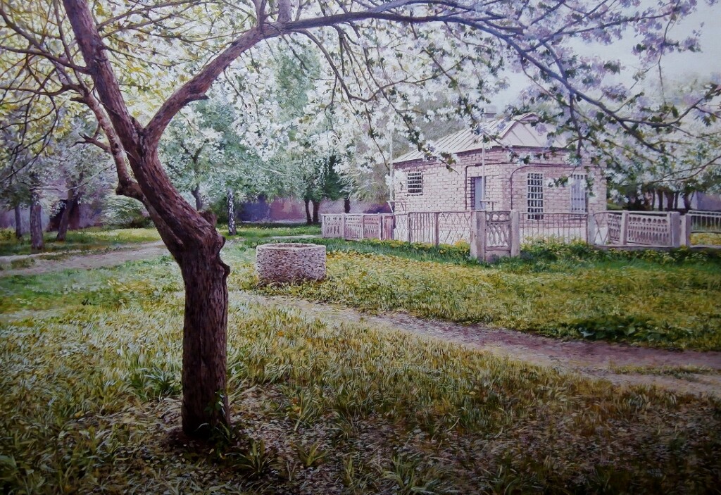 Цветущая яблоня