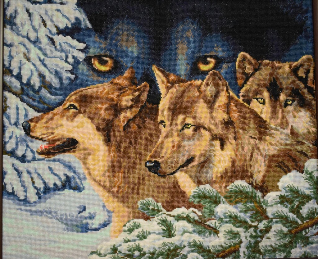 Волчий взгляд