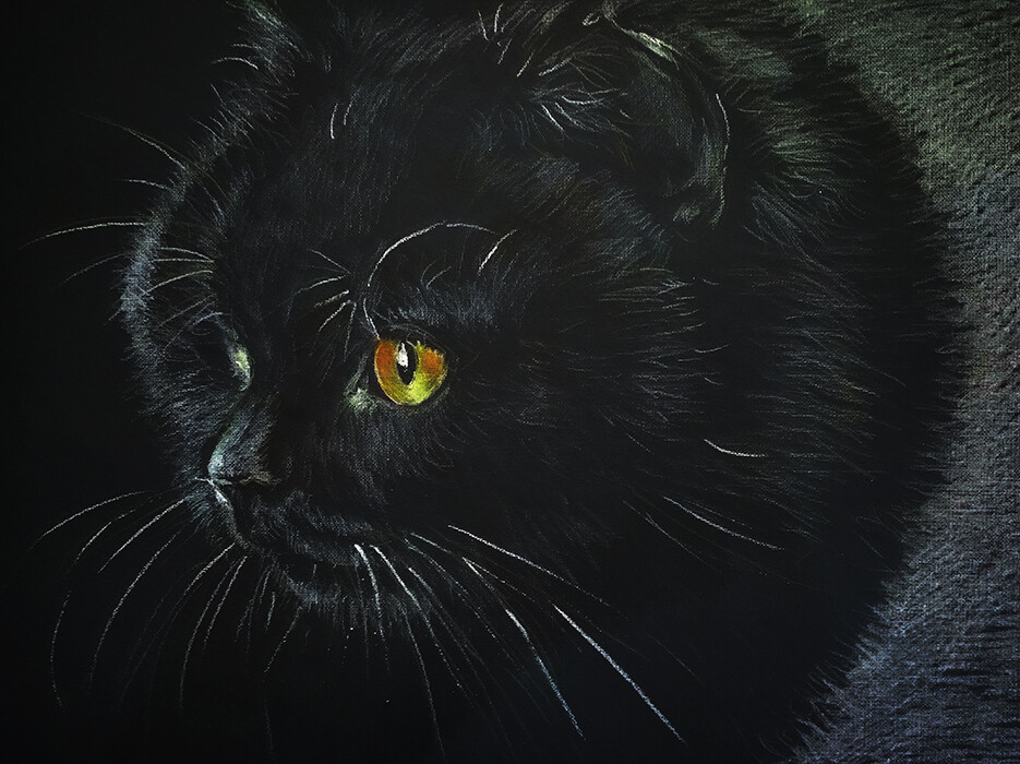 Ночной охотник