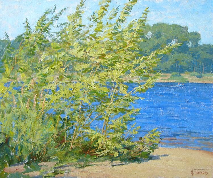 У волжской протоки