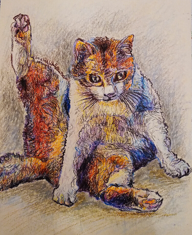 Любопытный