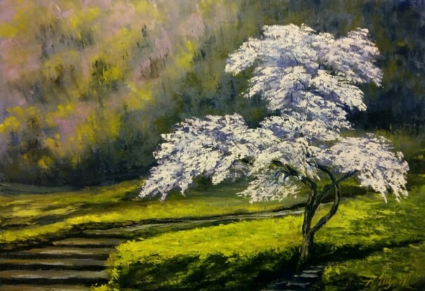 Цветение Сакуры