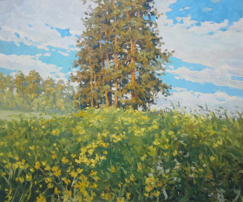 Сосны в купальницах