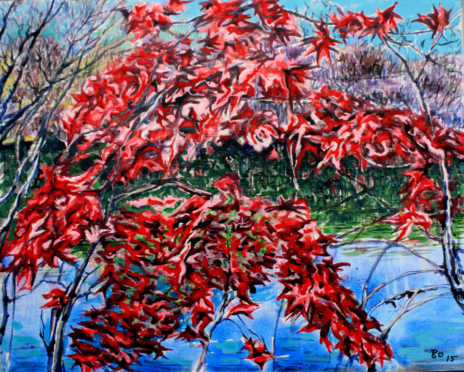 Красная осень в Плейнсборо.