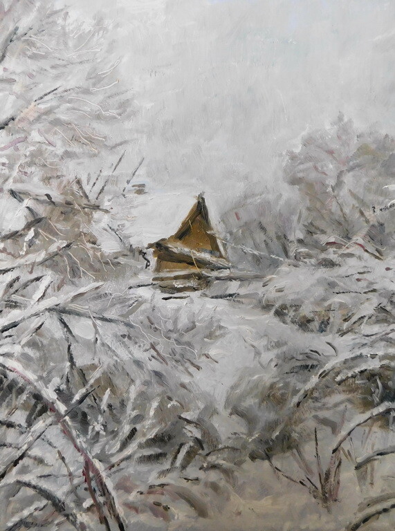 Зимняя сказка