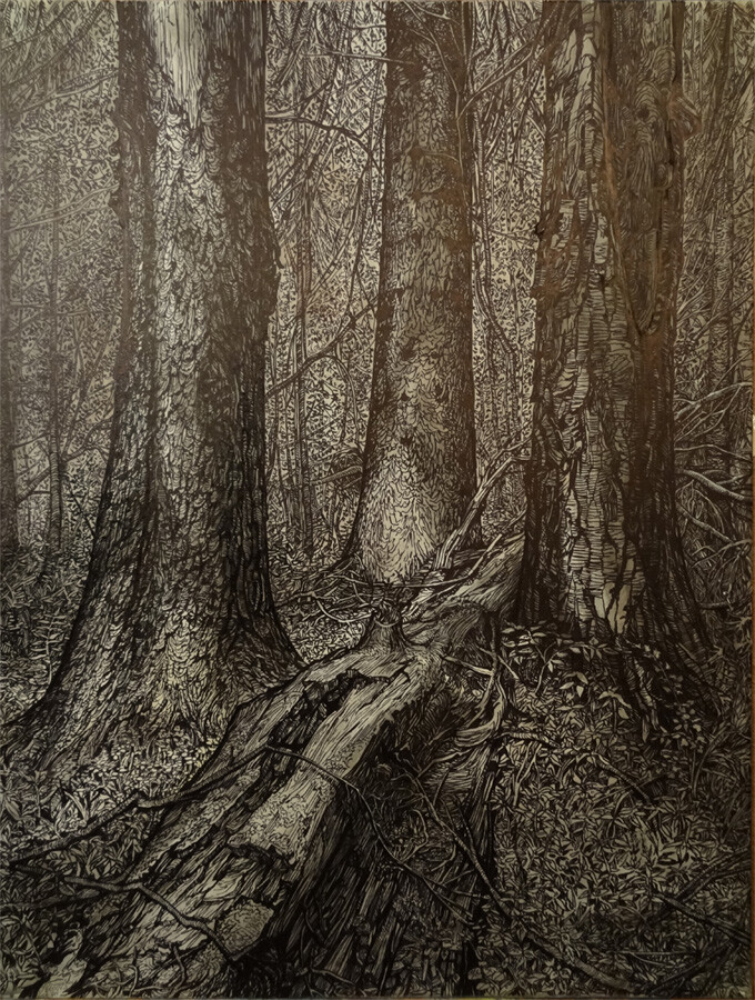 без названия