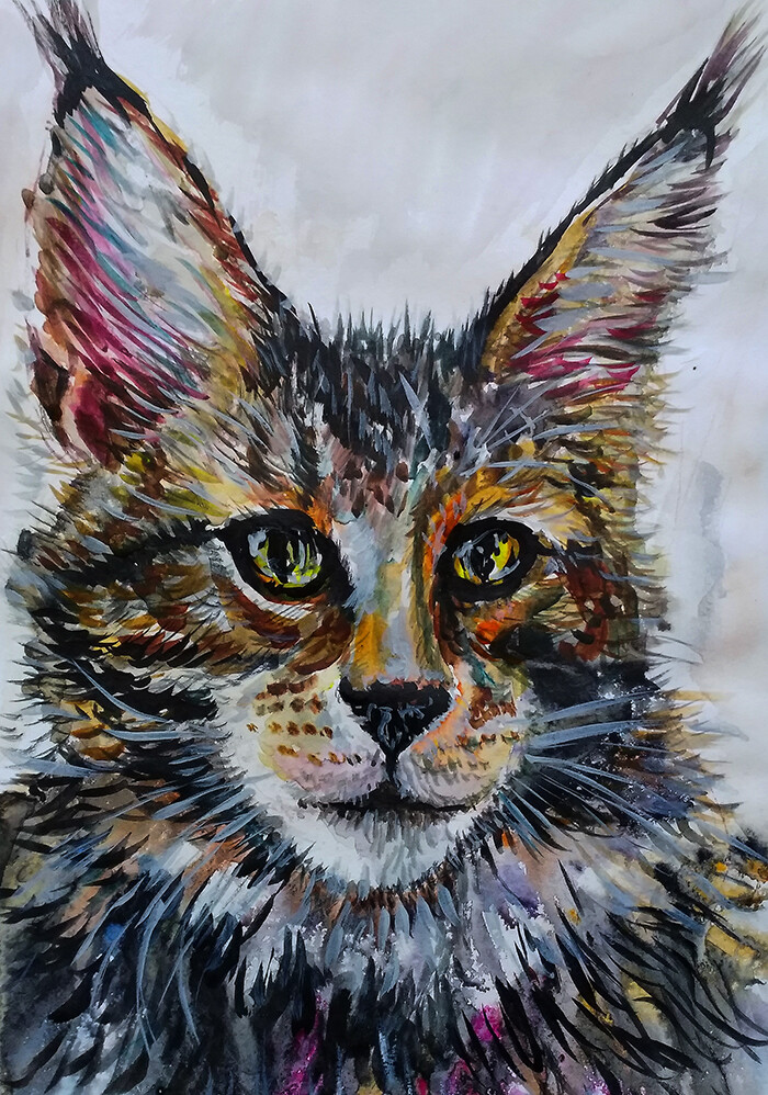 Ироничный кот