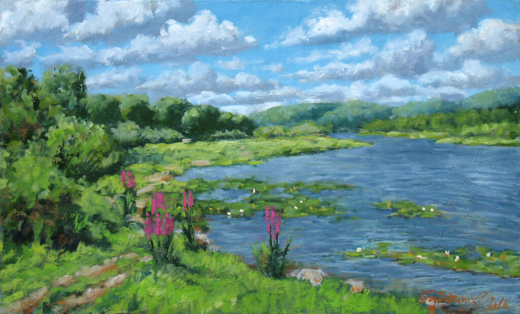 Река.Заводь