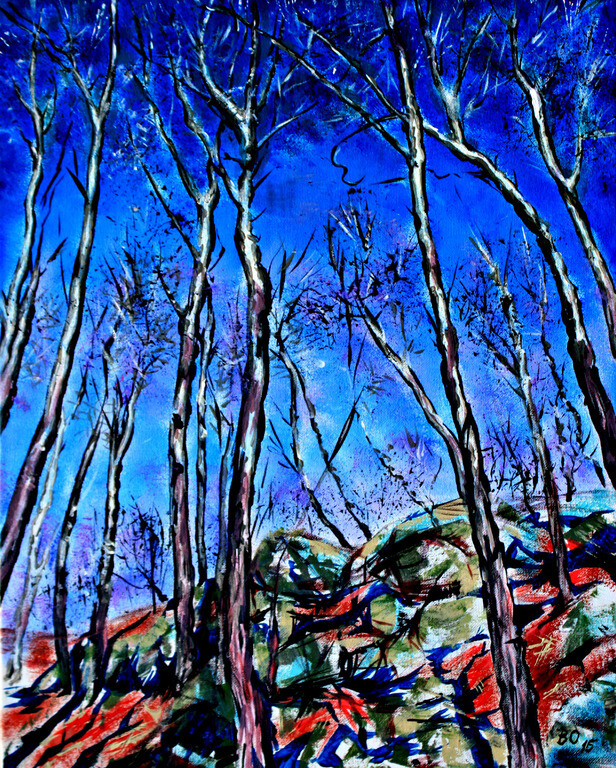 Деревья и скалы