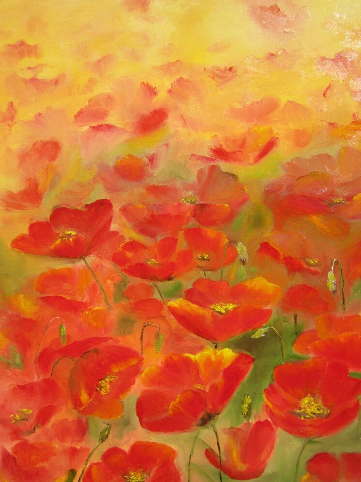 солнечные маки