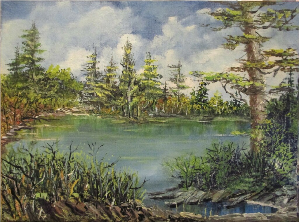 лесное озеро