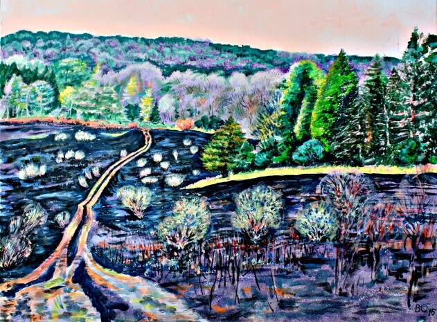 После пожара в горах.