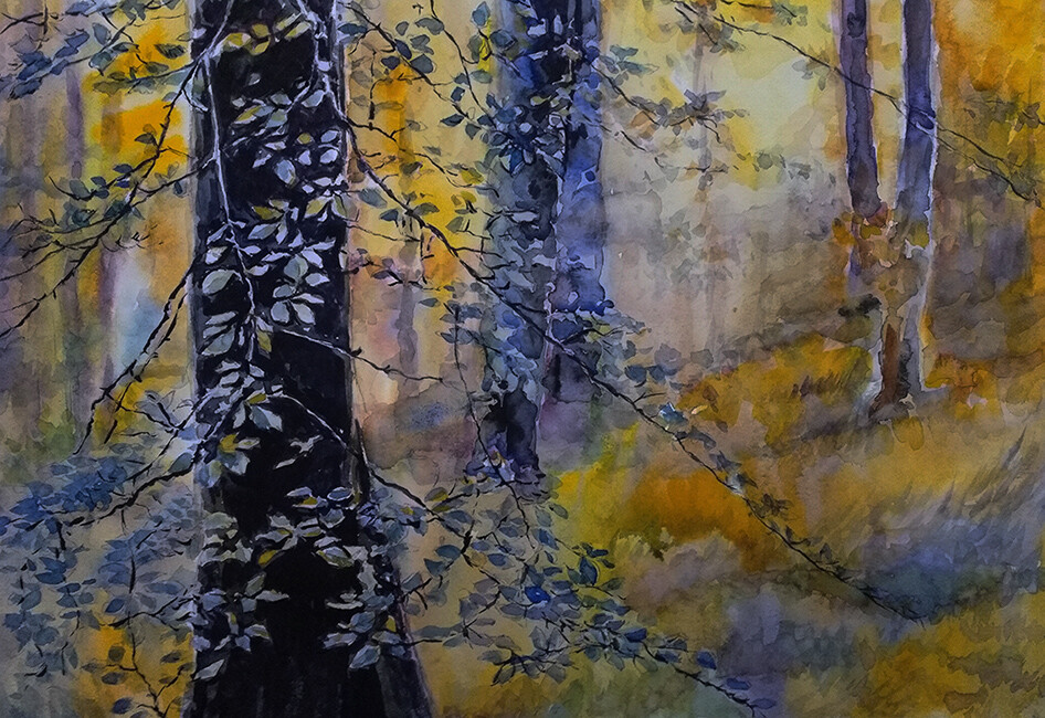 Вечерний лес