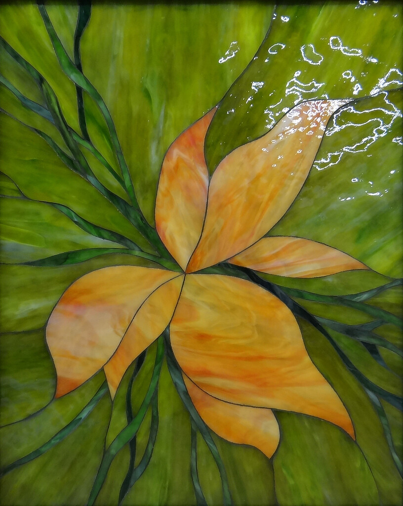 Оранжевый цветок