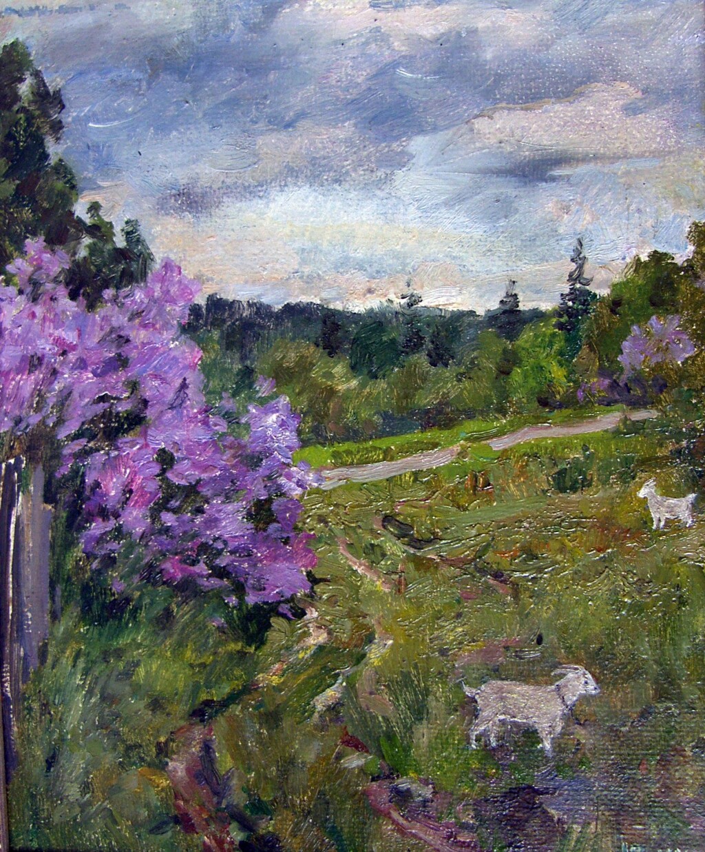 Дождь прошел.