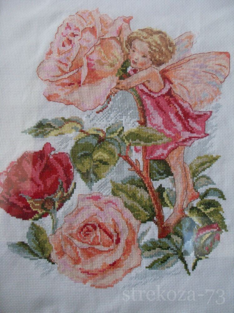 Фея розового сада