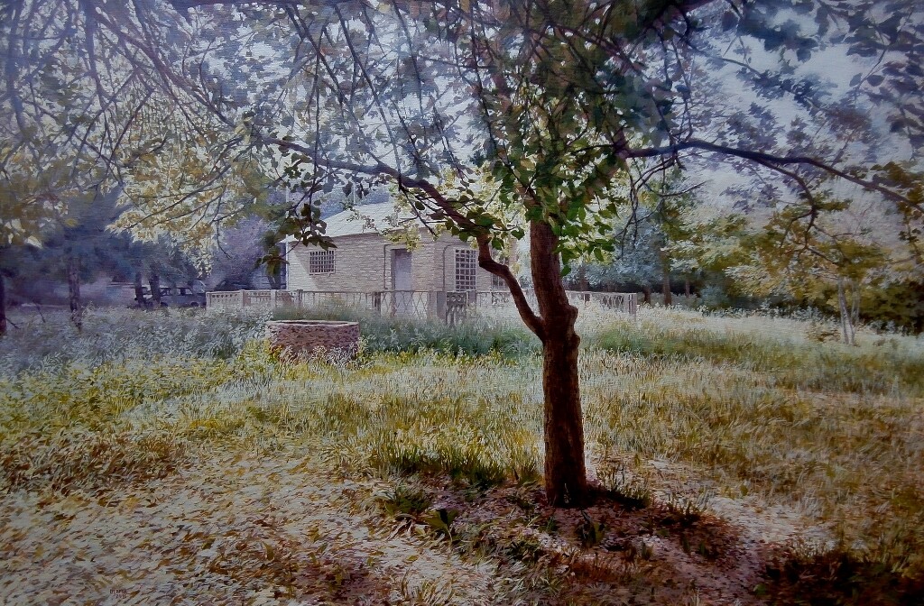 Старая яблоня