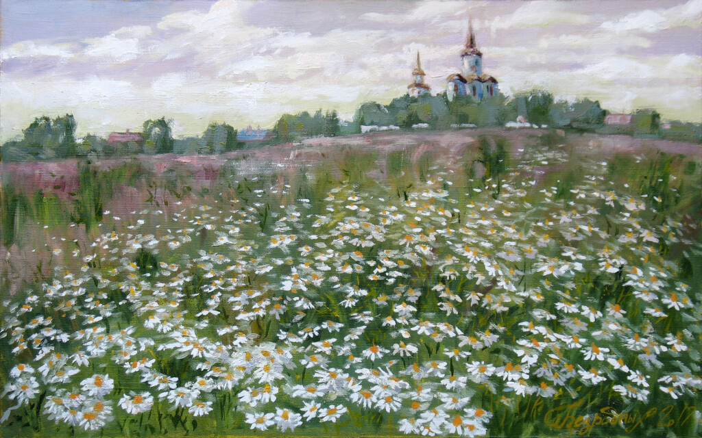 Ромашки.Поле