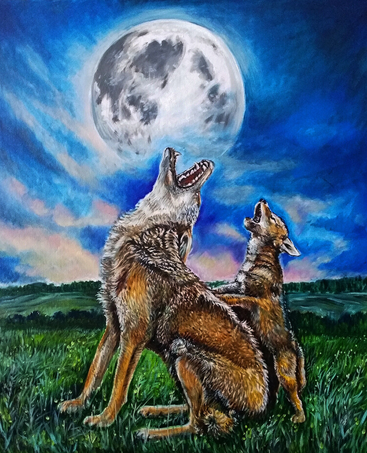 Волчий дуэт