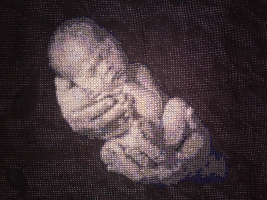 Метрика для новорожденных