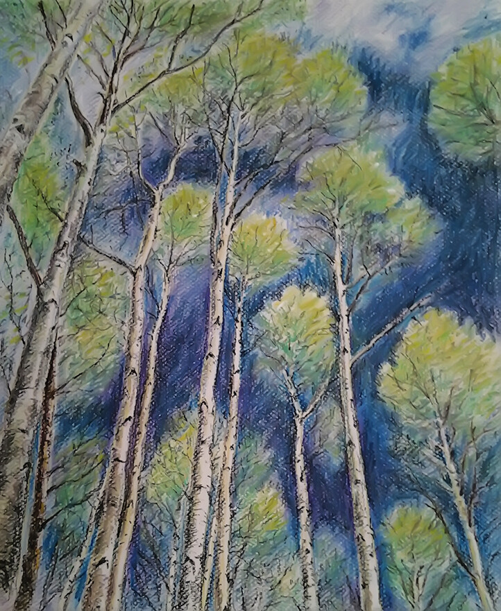 весенние верхушки