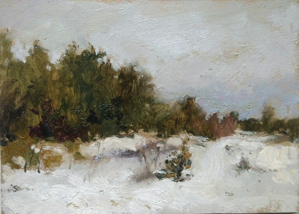 Лес в декабре