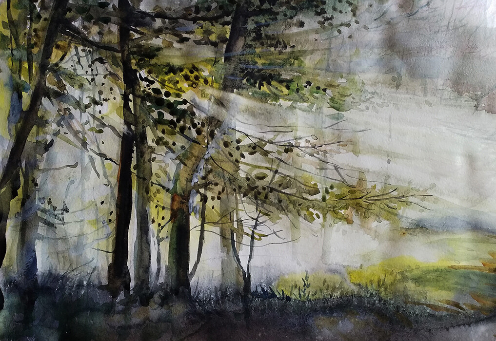 Утро в лесу