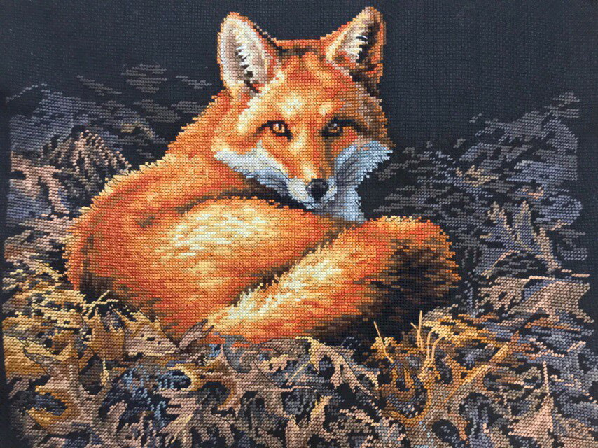 Лиса в лучах солнца