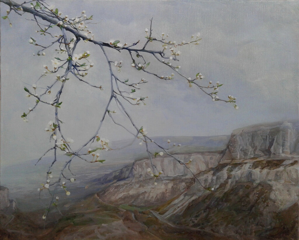 Слива цветет