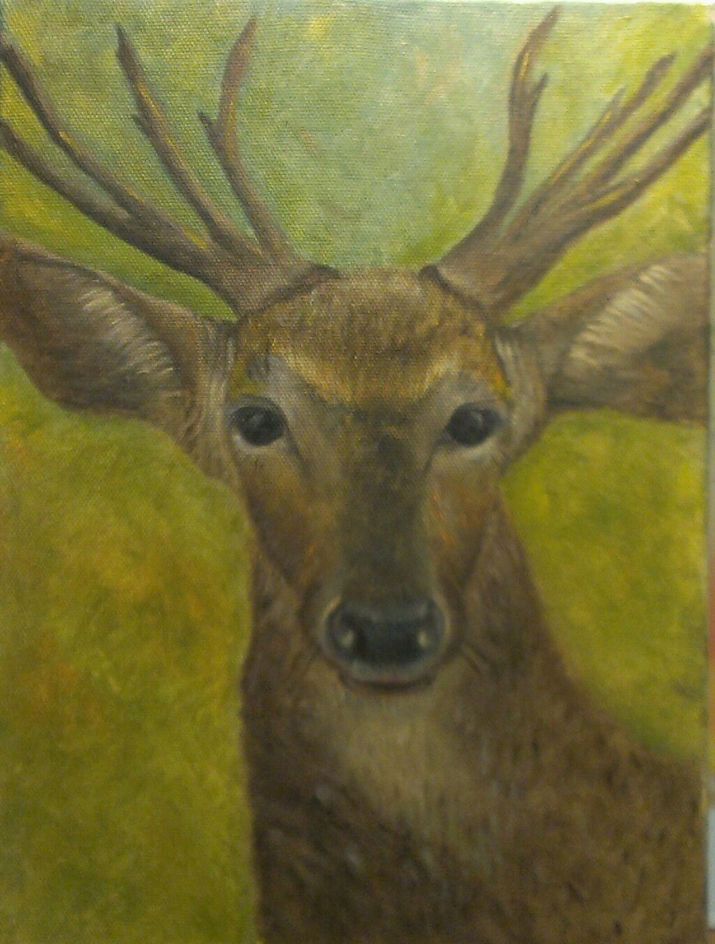 Голова оленя