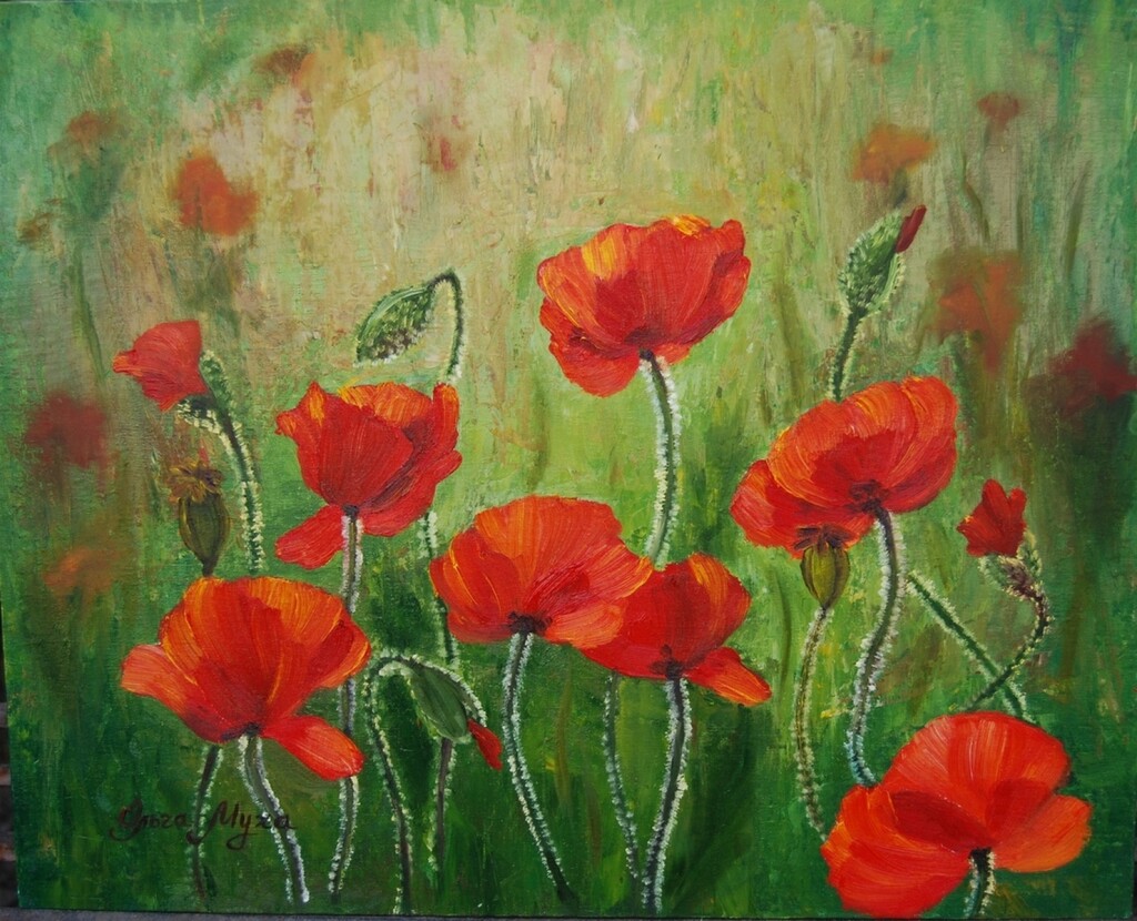 Маковый луг