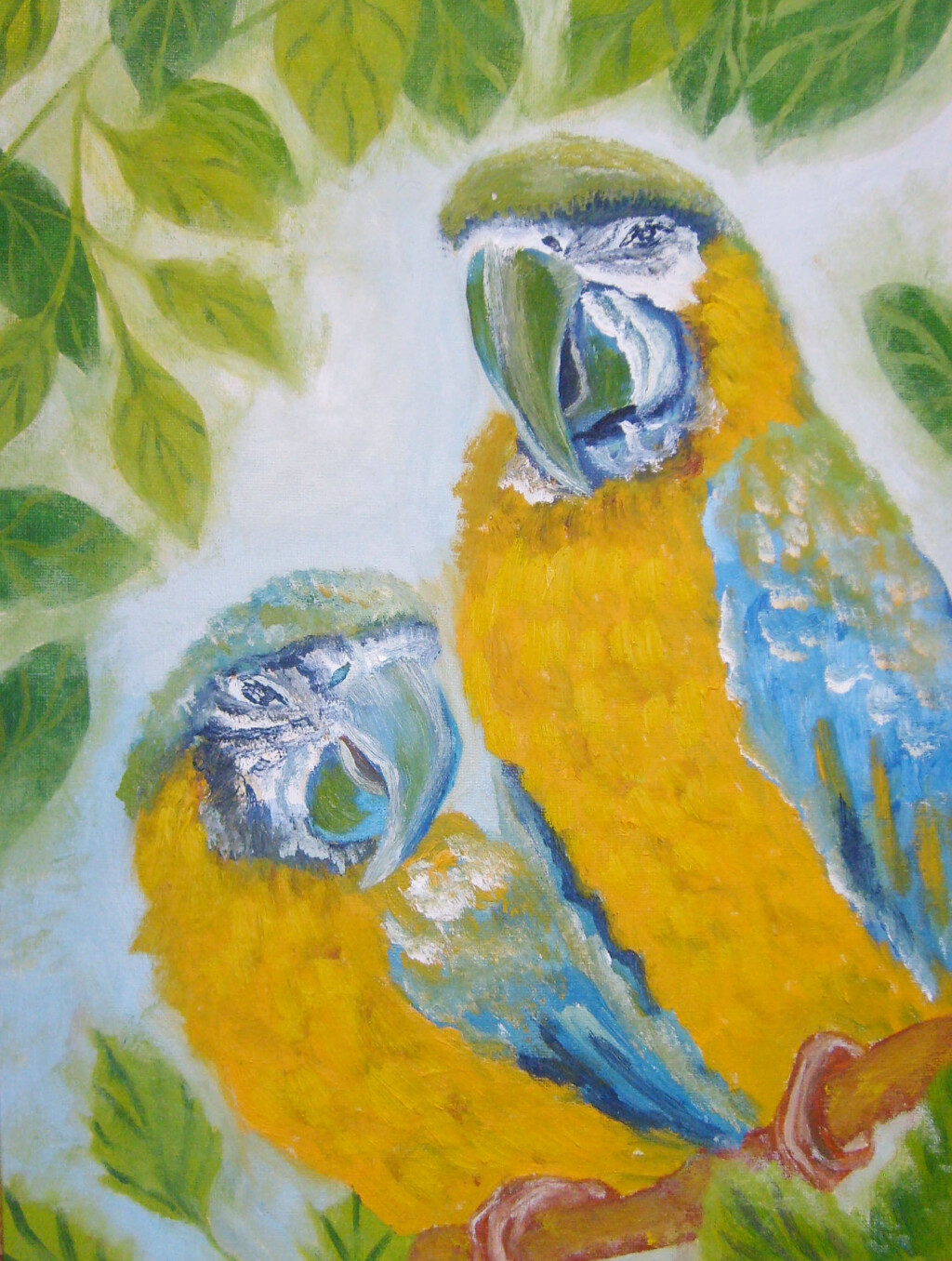 Золотые какаду