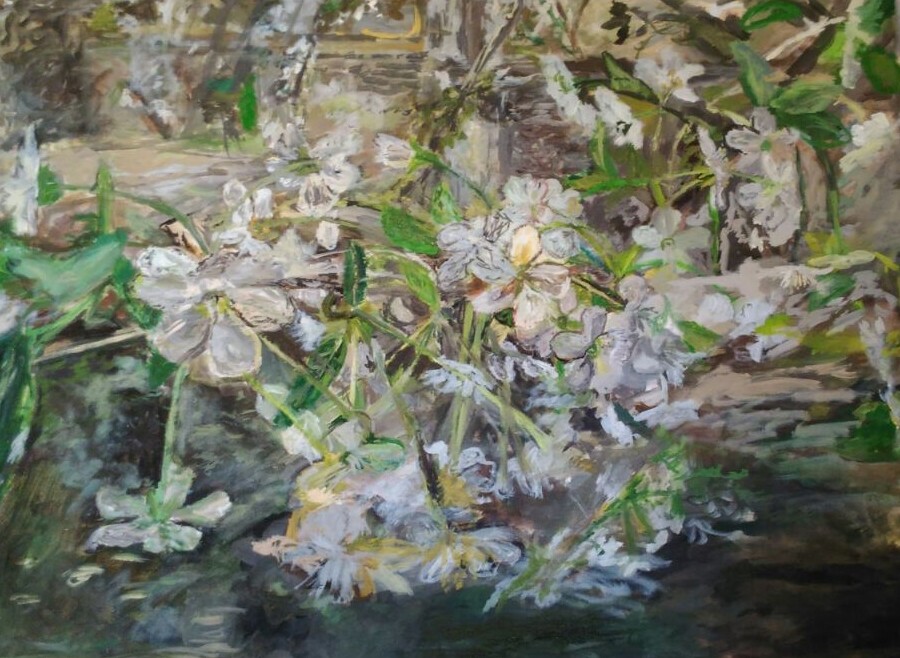 Цветение дерева