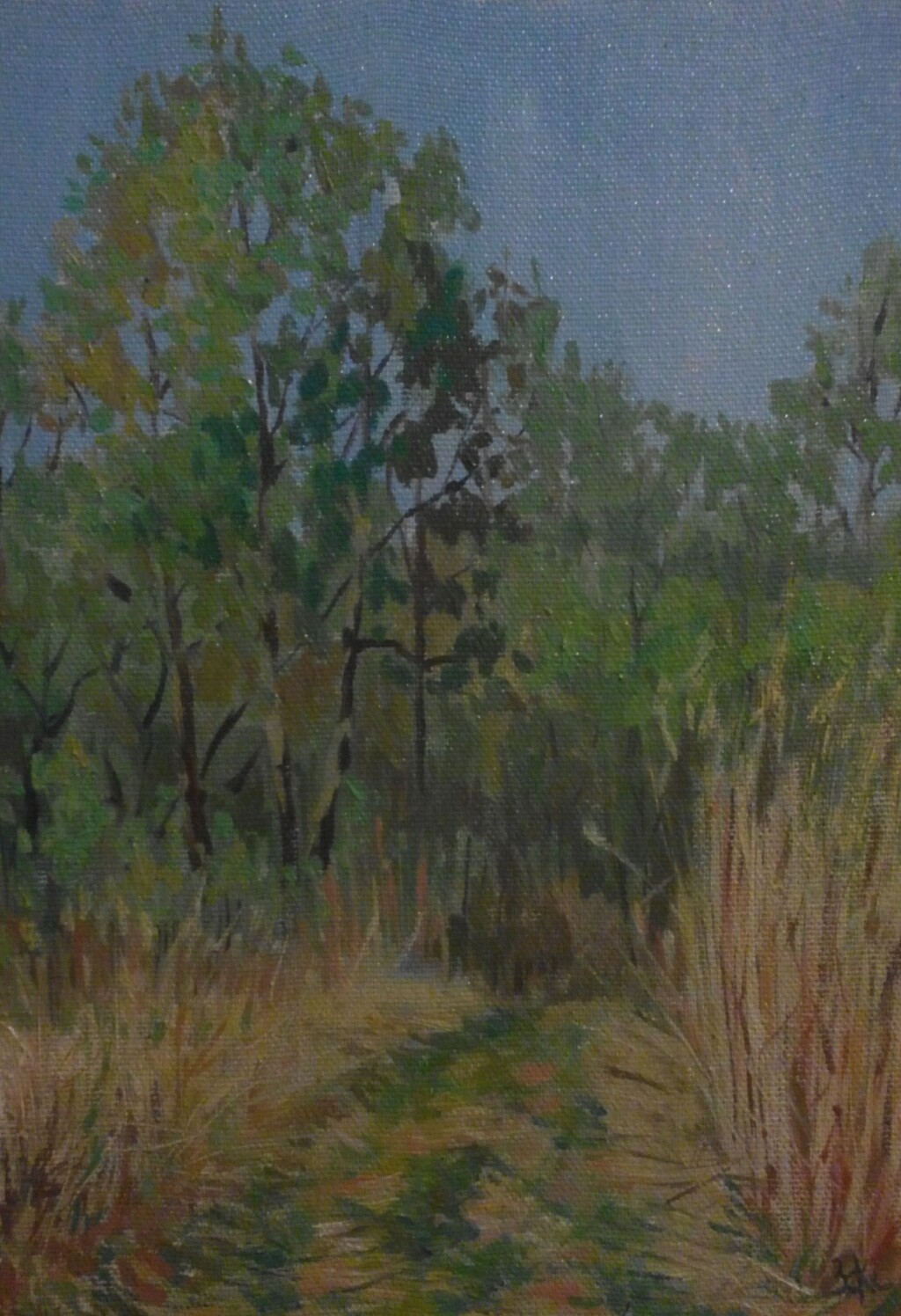 Конец весны