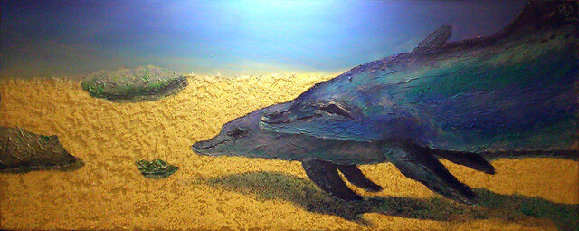 Дельфины мира