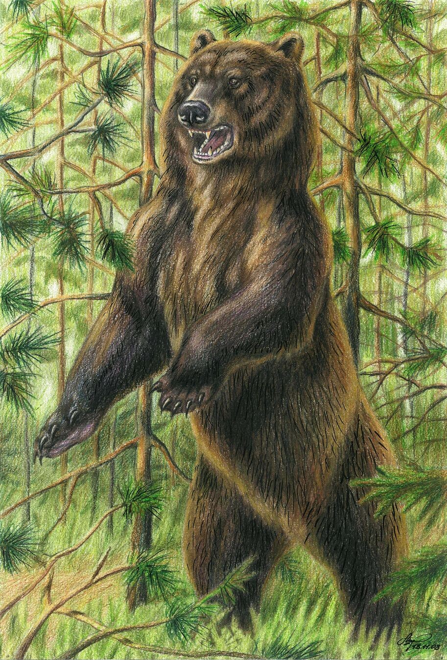 "Потревожили"