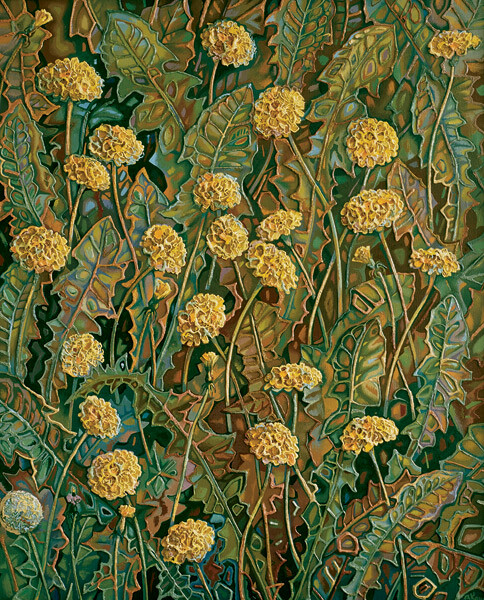 одуванчики