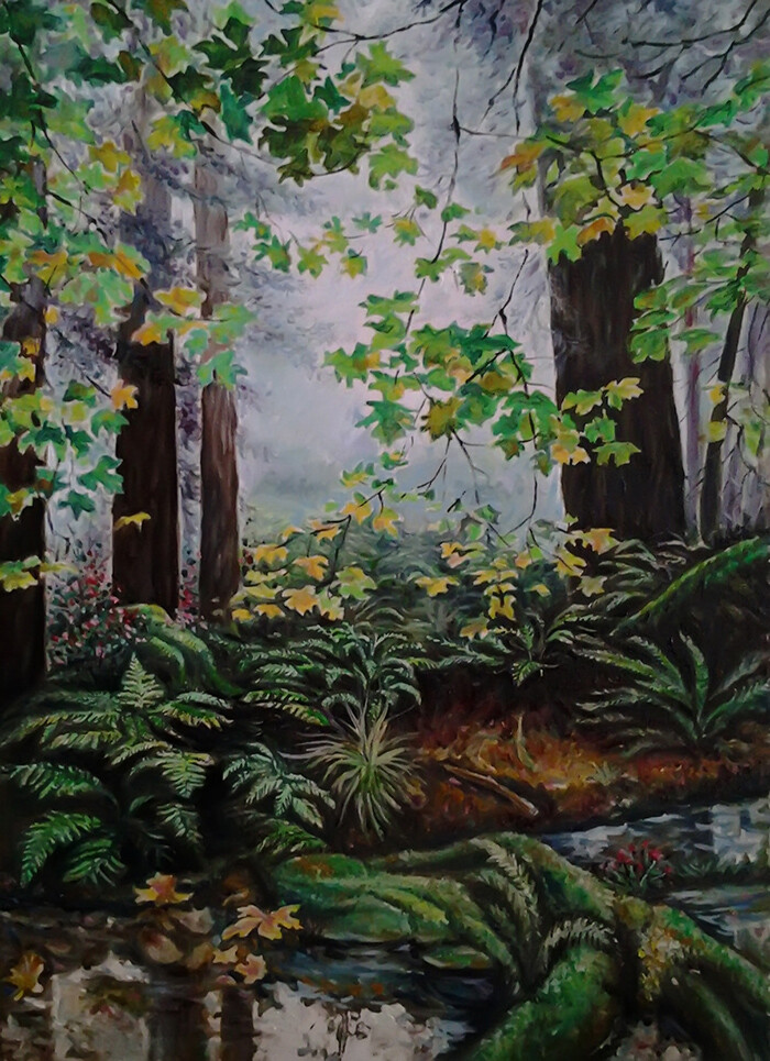 берег лесного ручья