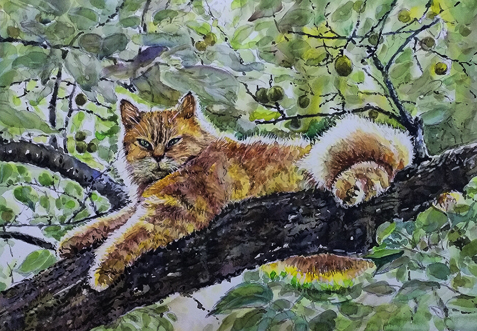 Хозяин дачи