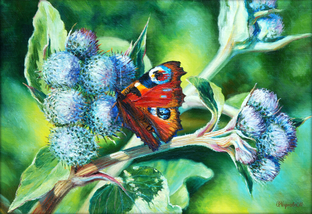 Ночная красавица и лопух