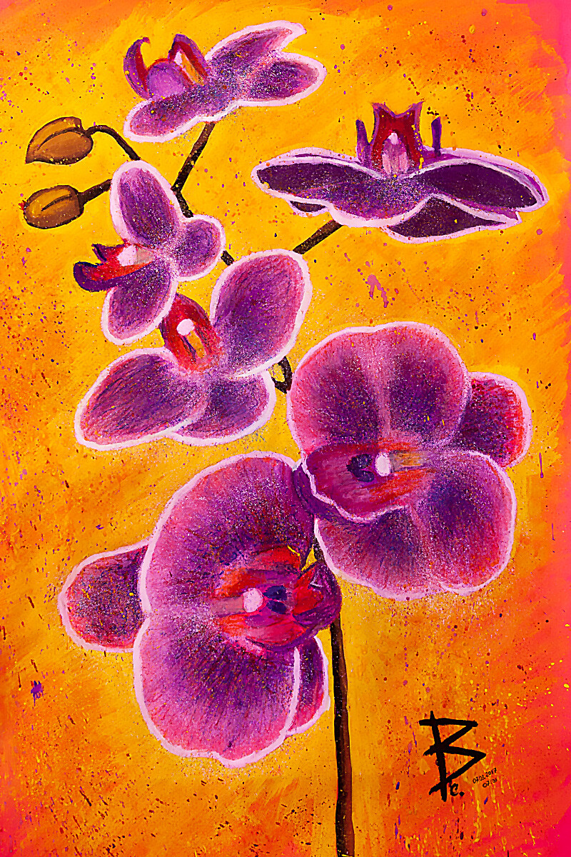 Орхидеи