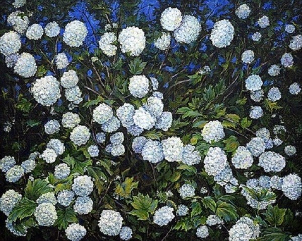 Калина бульденеж